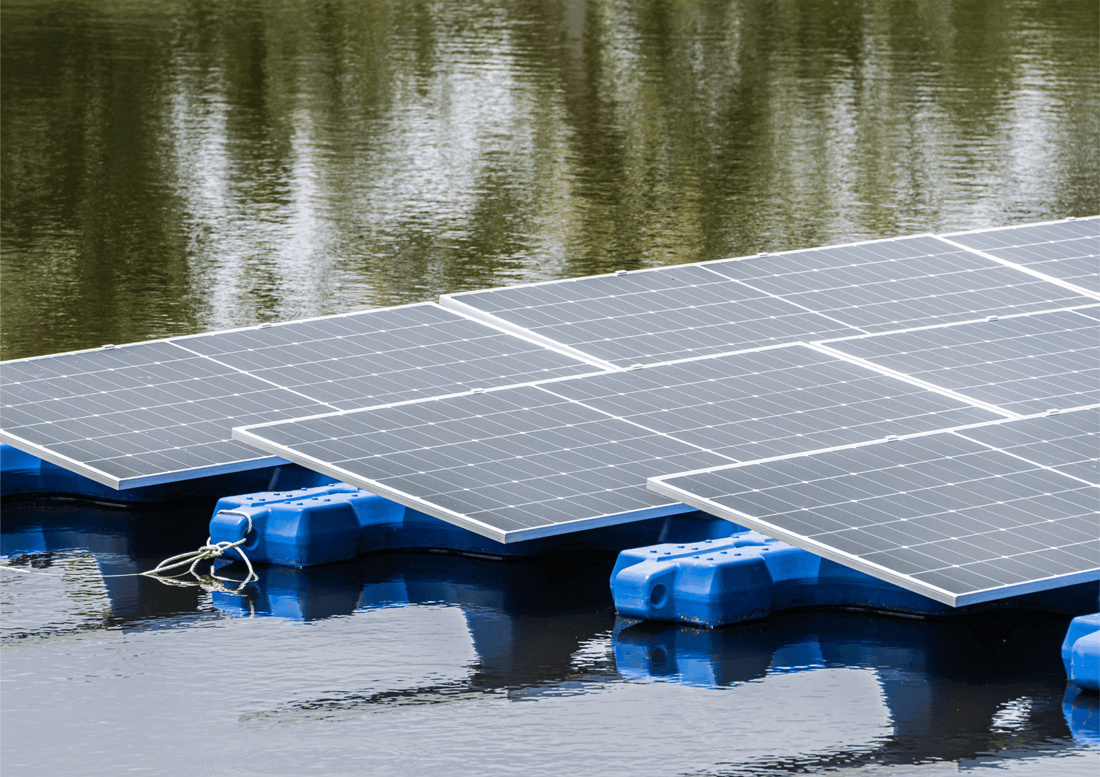 Sustainable Innovation